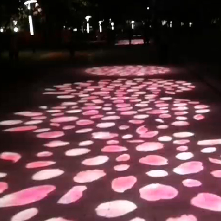 projected flower images