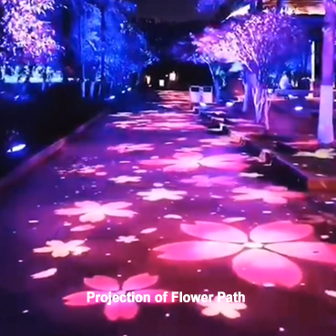 Projection of Flower Path
